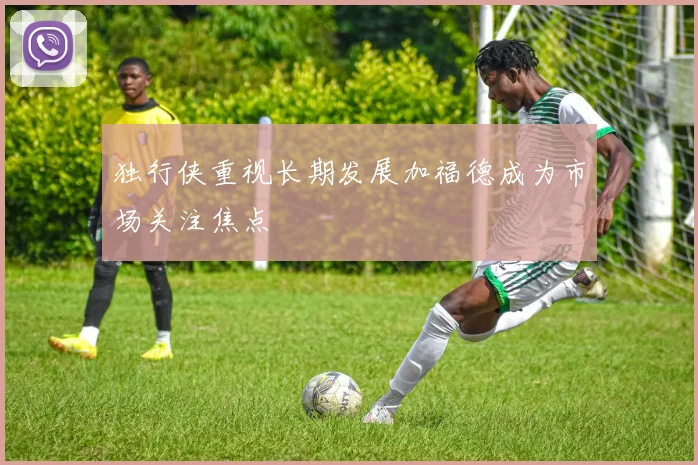 独行侠重视长期发展加福德成为市场关注焦点